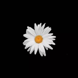 陪读脱去妈妈的内裤
